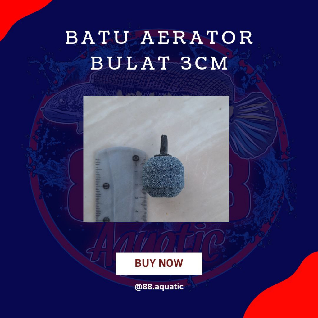 Batu Aerator Bulat 3cm Airator Batu 3cm Gelembung Aquarium