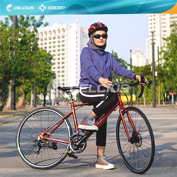 Sepeda Balap Celcius Roadbike  1016 A Frame Alloy Ukuran 27" - 16 Speed Garansi Original