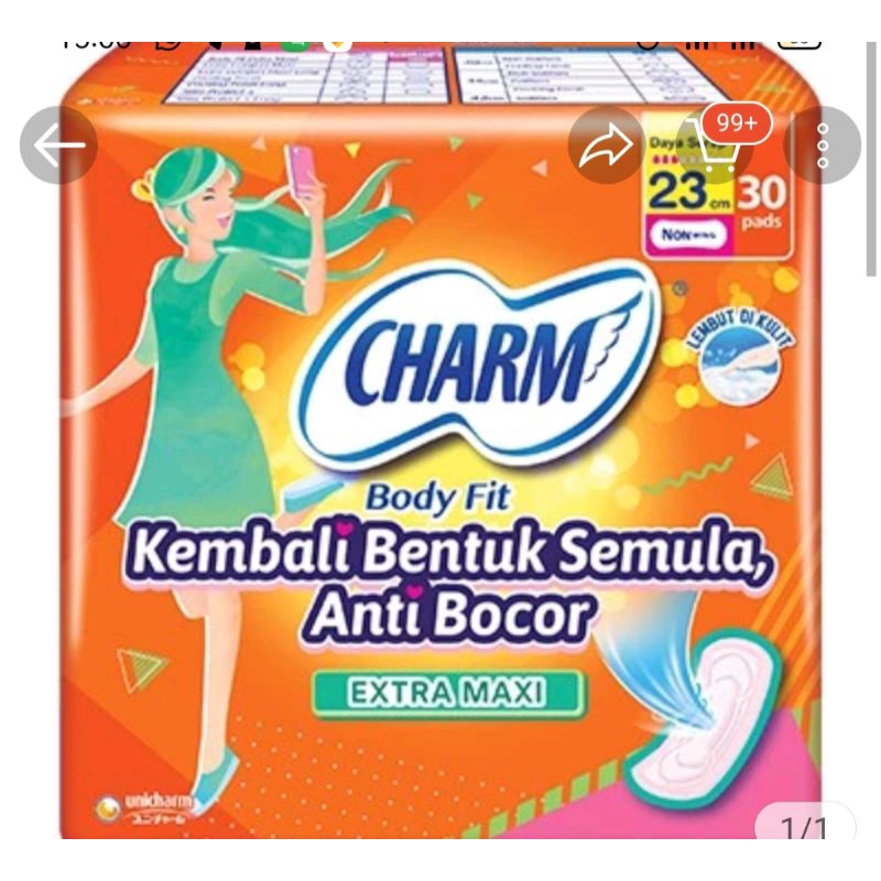 PROMO CHARM NON WING  ISI 30 PADS BESAR