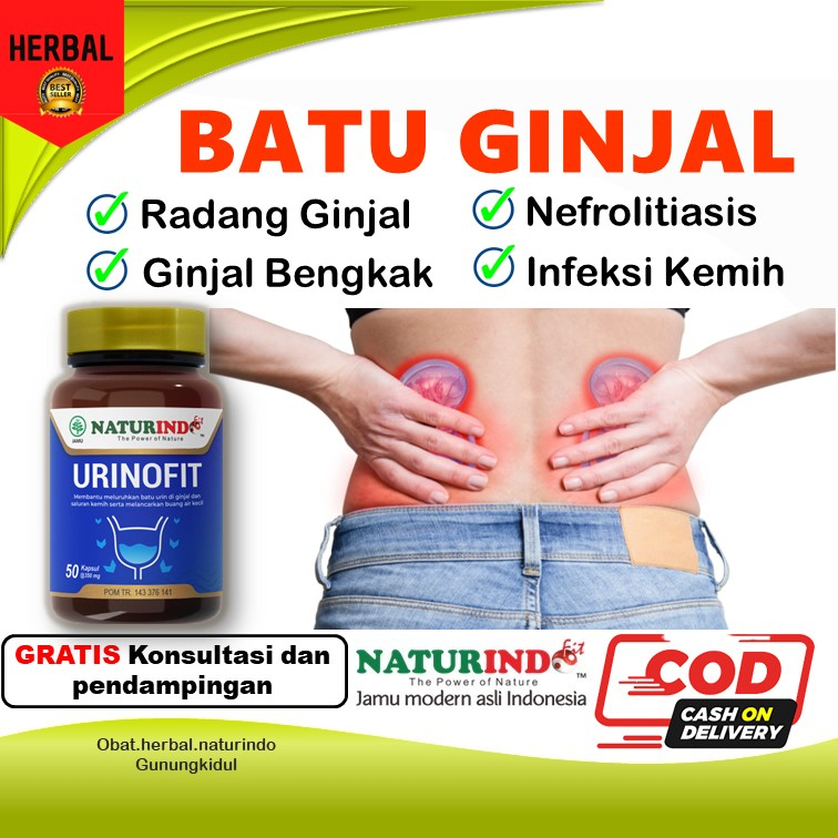 Obat Batu Ginjal Sakit Ginjal Bengkak Prostat Alami