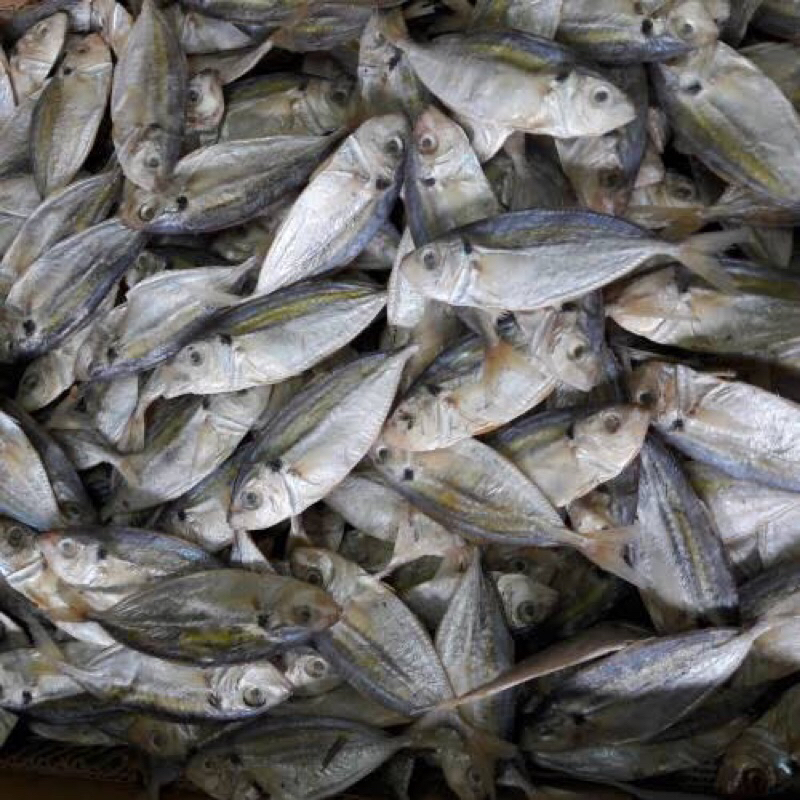 

Ikan Asin Selar Kering Ikan Selar Grosir Termurah