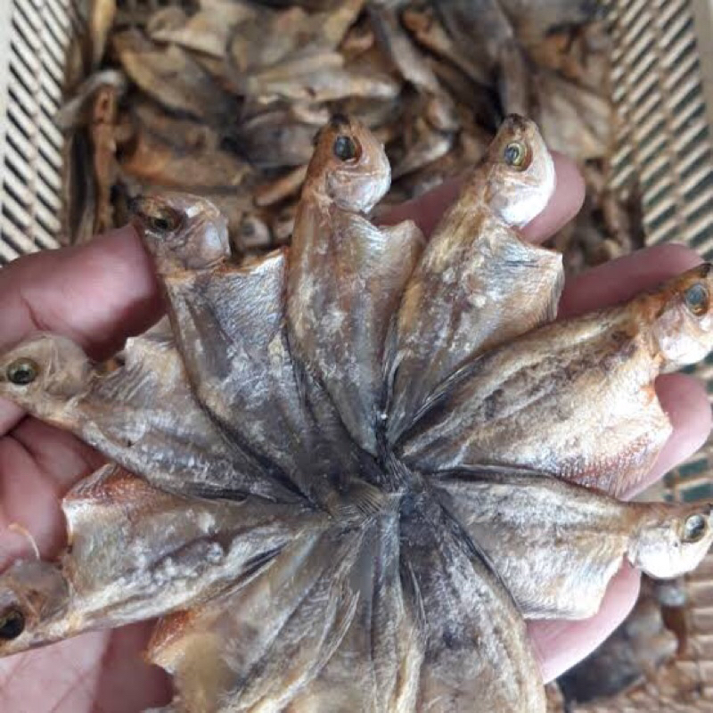 

Ikan Asin Sepat Kering Ikan Sepat Grosir Termurah