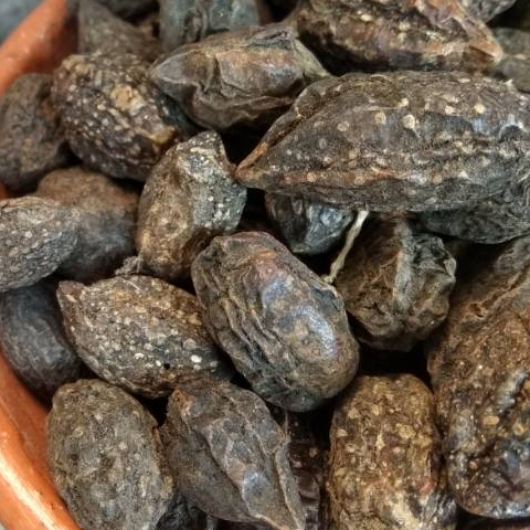 

BIJI JOKELING KERING TERBAIK 1KG