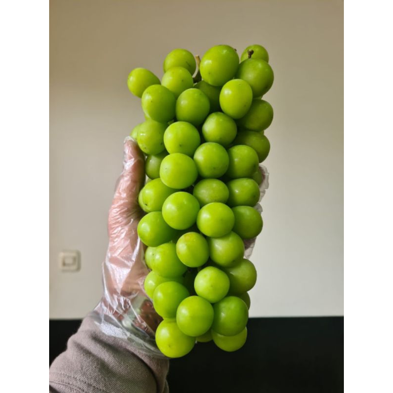 

Anggur Shine Muscatt 1kg box