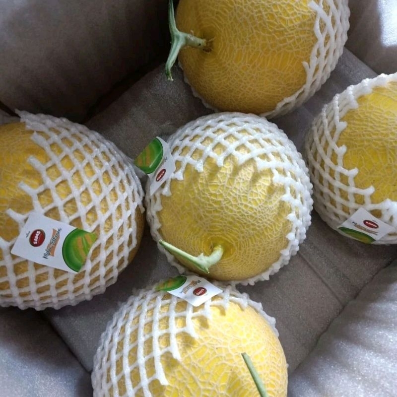 

Melon Inthanon 1 buah