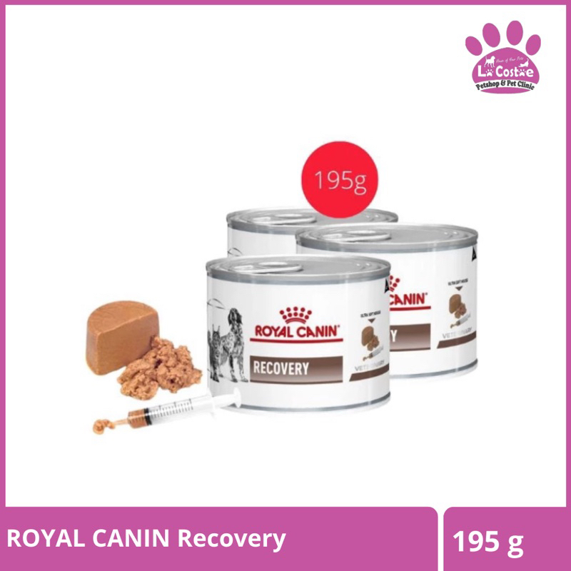 ROYAL CANIN Wet RECOVERY 195g - Makanan Basah Royal Canin Recovery