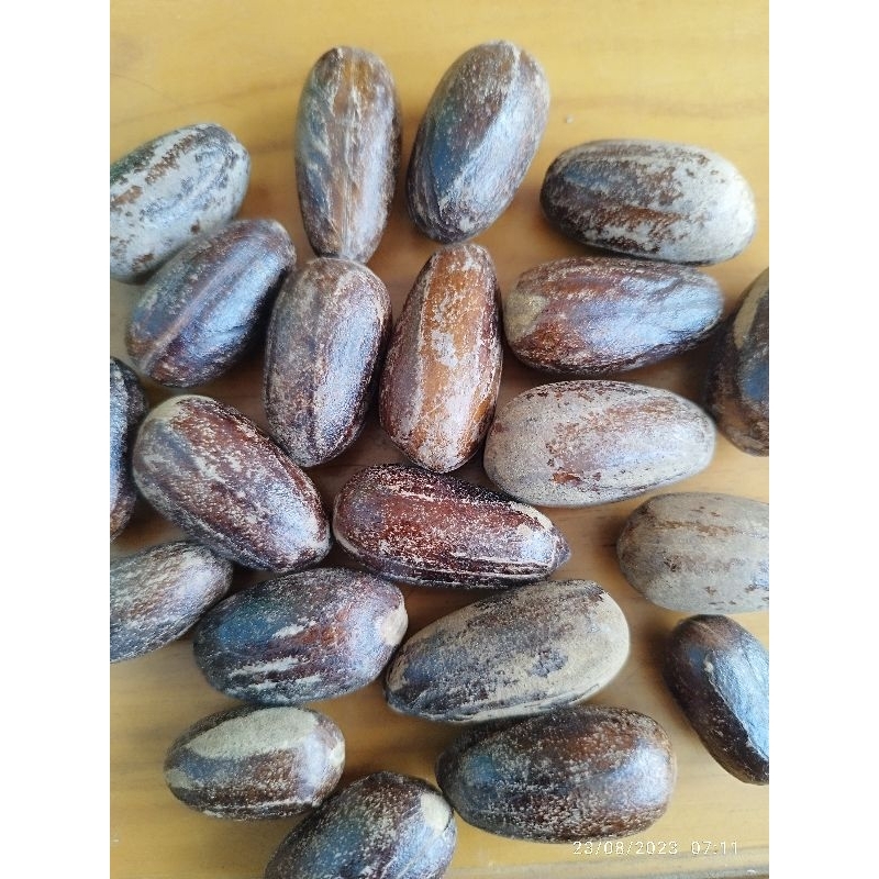 

pala lonjong dan bulat 100 gram