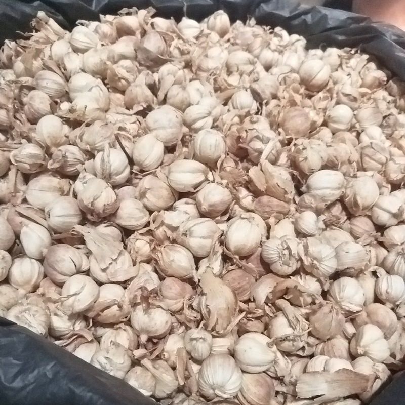 

Kapulaga kering 100gr