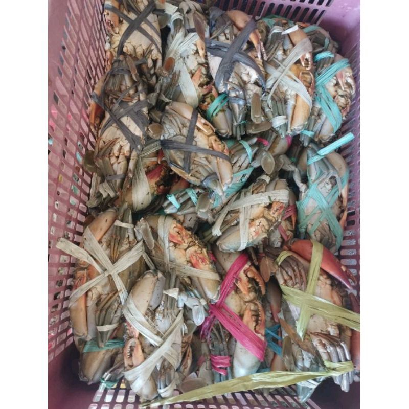 

Kepiting 1kg Fresh | Aruni Seafood Murah
