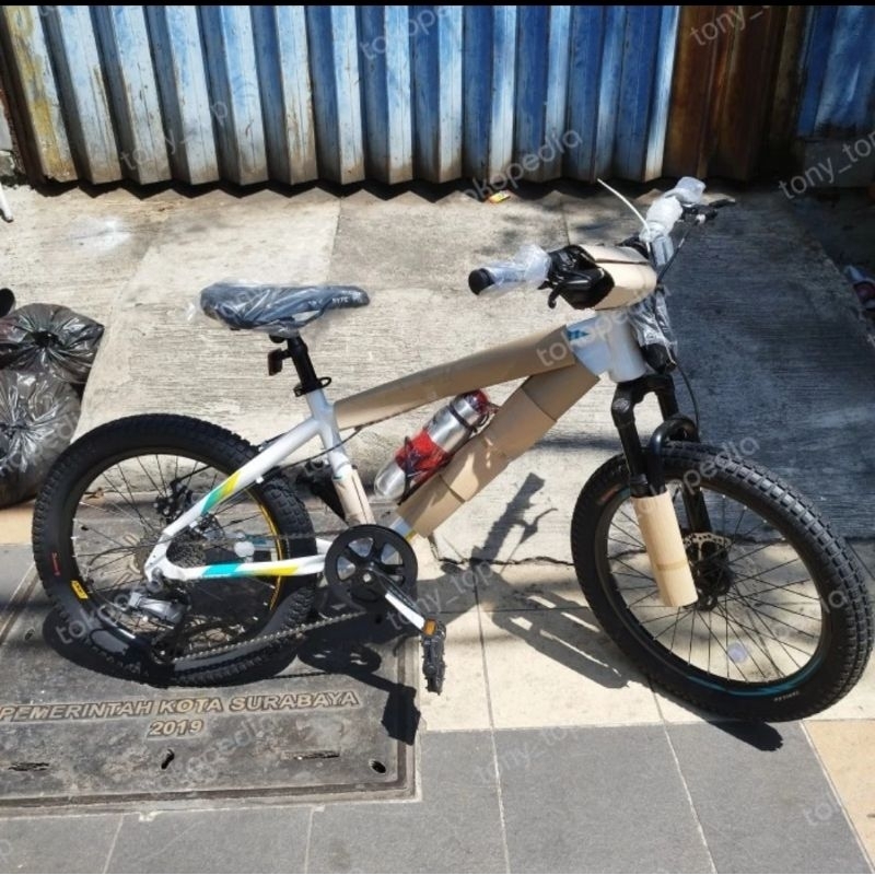 Sepeda Mtb 20 Pasific exotic aviator invert cadet