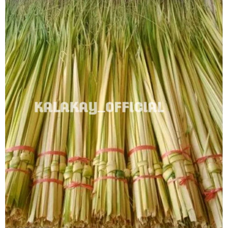 Janur Kelapa Muda / Janur Kuning / Daun Kelapa Muda Multifungsi
