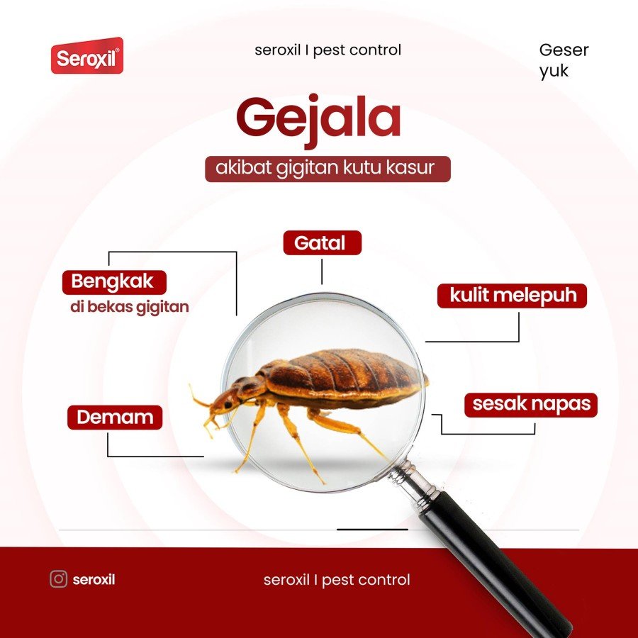 1 Liter Seroxil Obat Pembasmi Kutu Kasur Anti Kutu Busuk Tungau Kasur Sofa Isi Ulang Seroxil Kutu