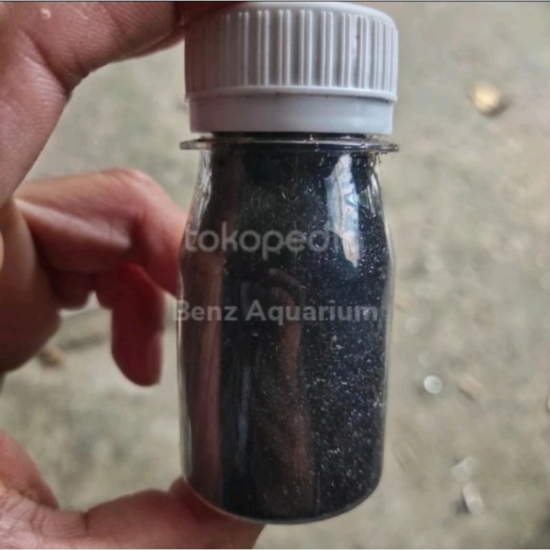 PK Ikan Koi Obat Steril Ikan Koi Discus dll