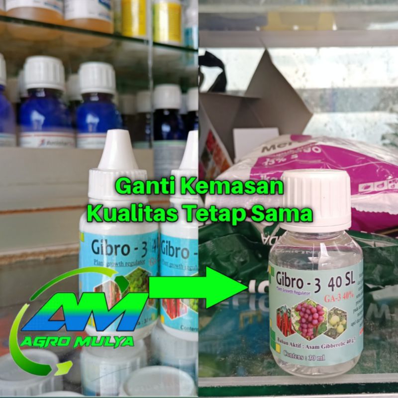 ZPT GIBRO 40SL GA3 ANGGUR DLL 30ML, ZPT PERTUMBUHAN, PEMBUNGAAN, DAN PEMBESAR BUAH