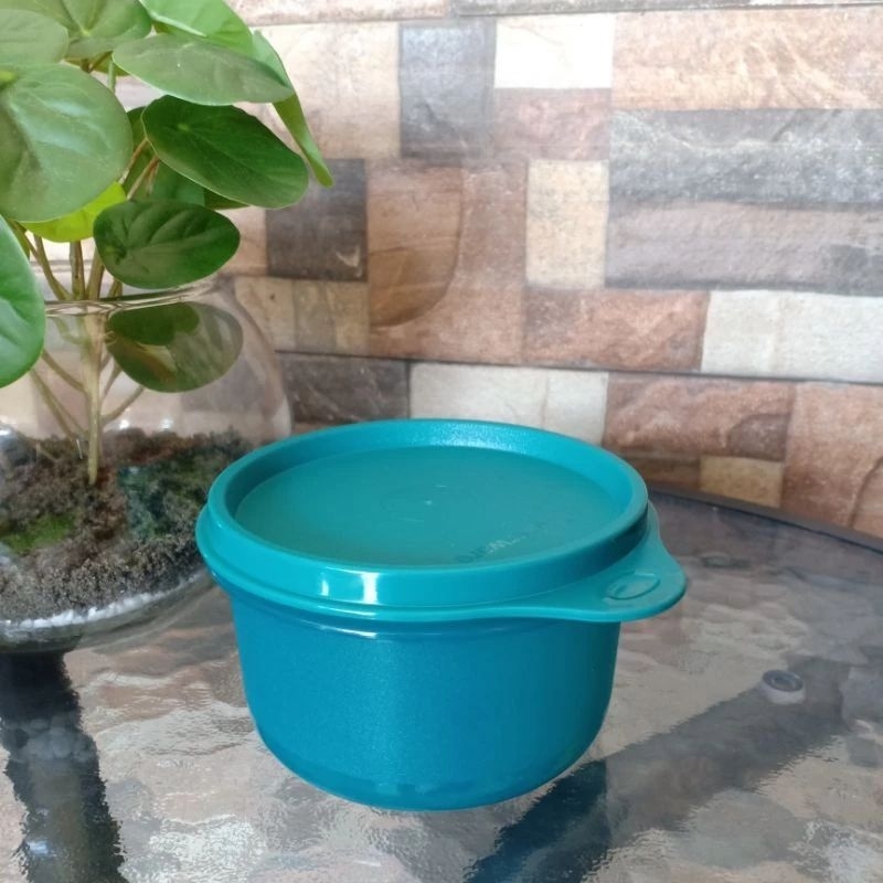 Rice bowl tupperware