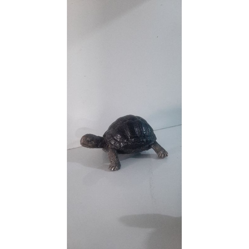 replika aldabra