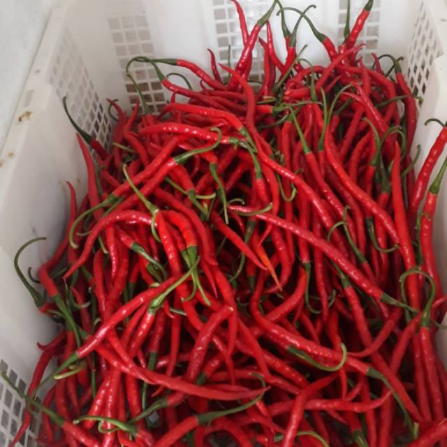 

cabe merah kriting 250gr