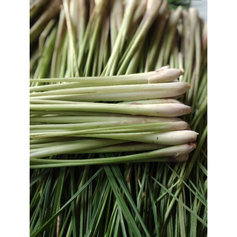 sereh/serai1kg