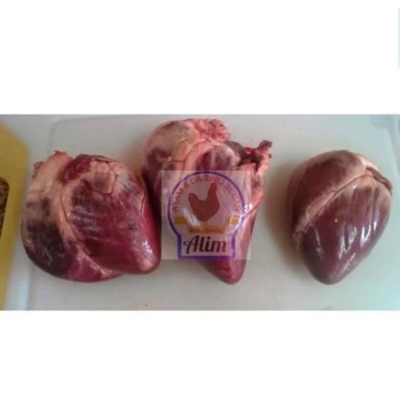 

Jantung Sapi Segar ( Fresh Beef Heart)
