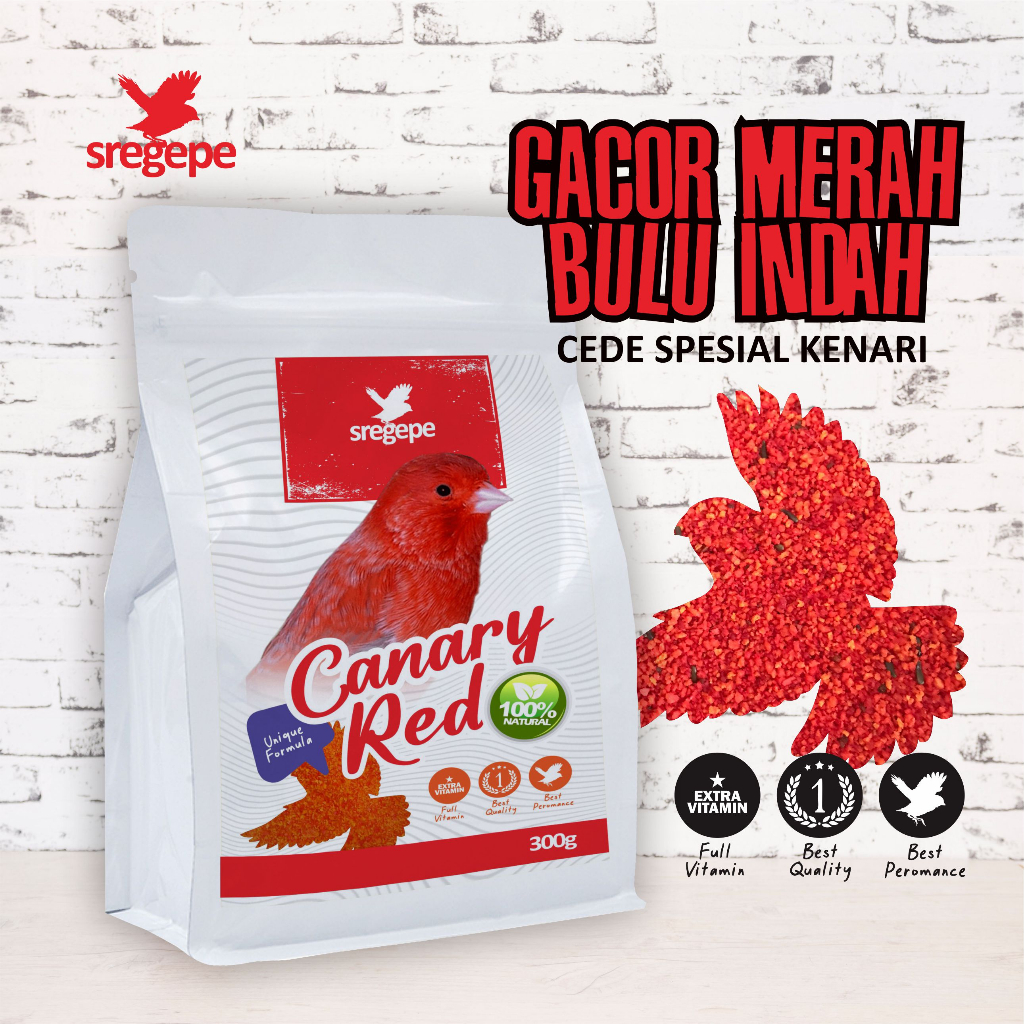 Cede kenari merah gacor bulu indah - sregepe 300g