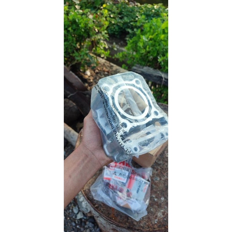 BLOK PISTON MXKING VIXION set ORIGINAL