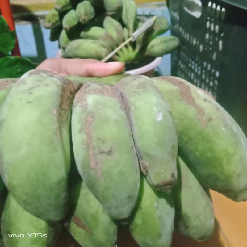 

TERBAIK PISANG MENTAHGEDANG GEPOK/CAU GEBROT LOKAL 1 KG