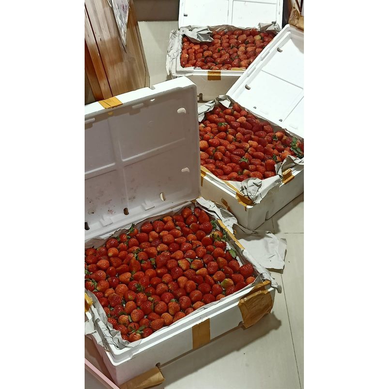

STRAWBERRY JUMBO