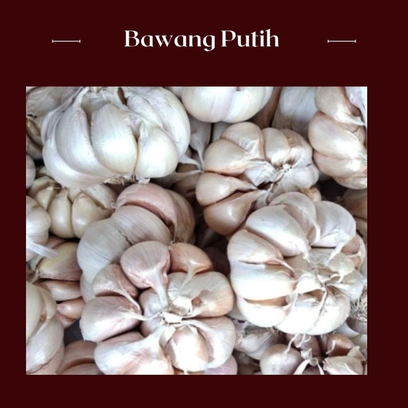 

Bawang Putih
