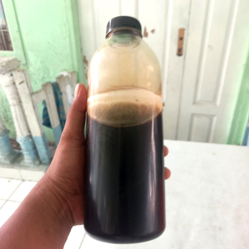 

Madu lebah Akasia Asli 1 kg