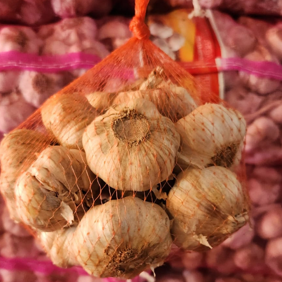 

Bawang Putih Sinco 1kg