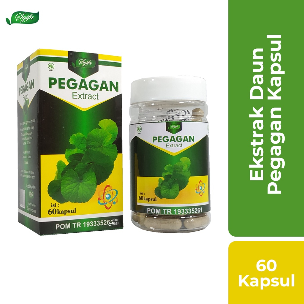 Ekstrak Daun Pegagan isi 60 Kapsul Original