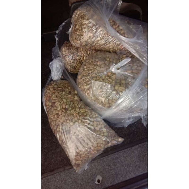 

kopi mentah 1kg