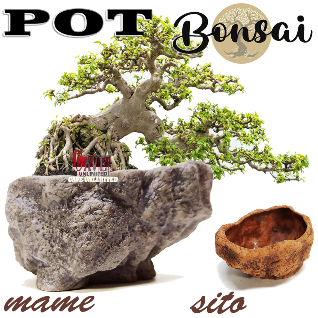 PT002 POT BONSAI SANCANG KIMENG ADENIUM SERUT POT BONSAI MAME SITO POT RELIEF TANAMAN HIAS BONSAI WA