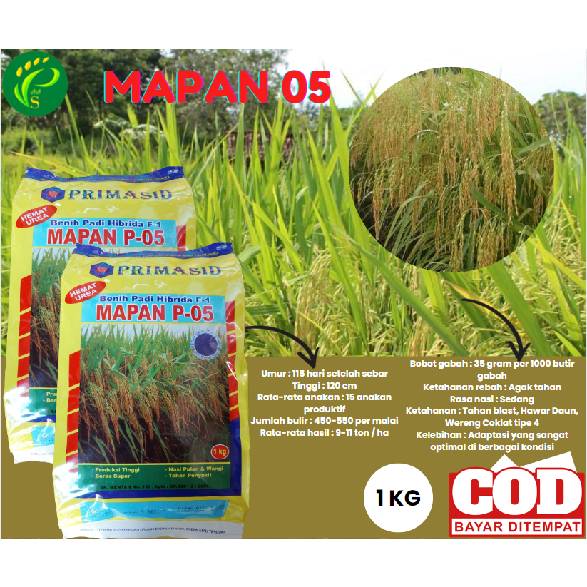 Biji Padi Mapan 05 Bibit Unggul 1KG