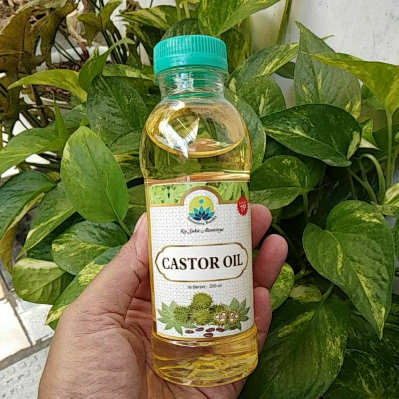 CASTOR OIL / MINYAK JARAK MINYAK CASTOR TERLARIS SURABAYA