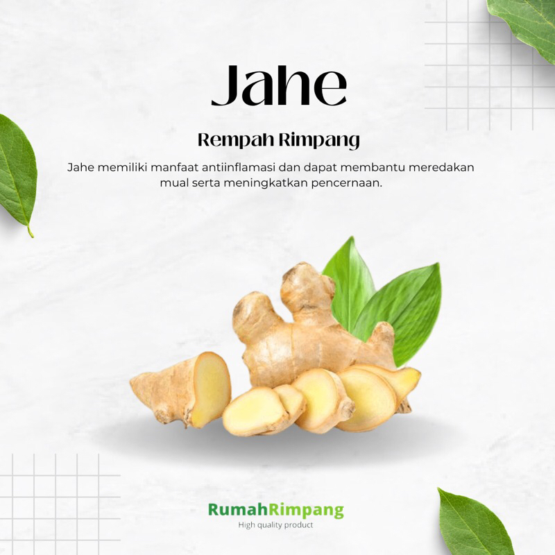 

[BISA INSTAN] JUAL RIMPANG SEGAR JSR - JAHE KEMASAN 250 GR