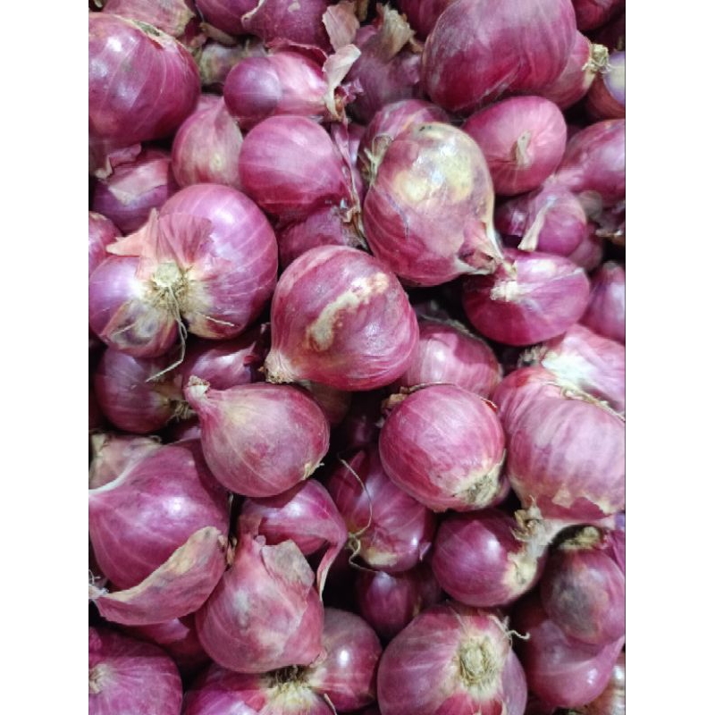 

bawang merah 1 kg