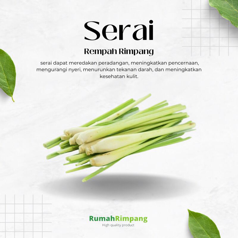 

[BISA INSTAN] RIMPANG SEGAR JSR - SERAI 250 GR
