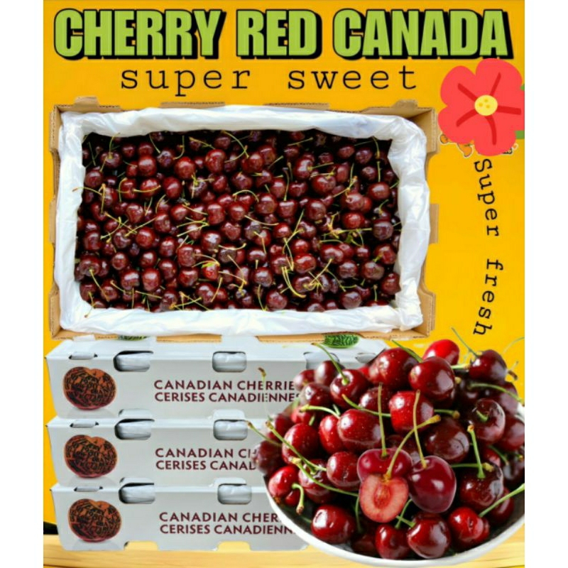 

cherry red canada 5kg