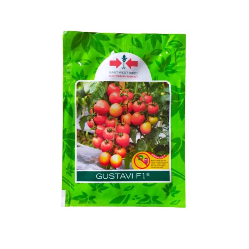 Benih bibit Tomat Gustavi F1 1750 butir