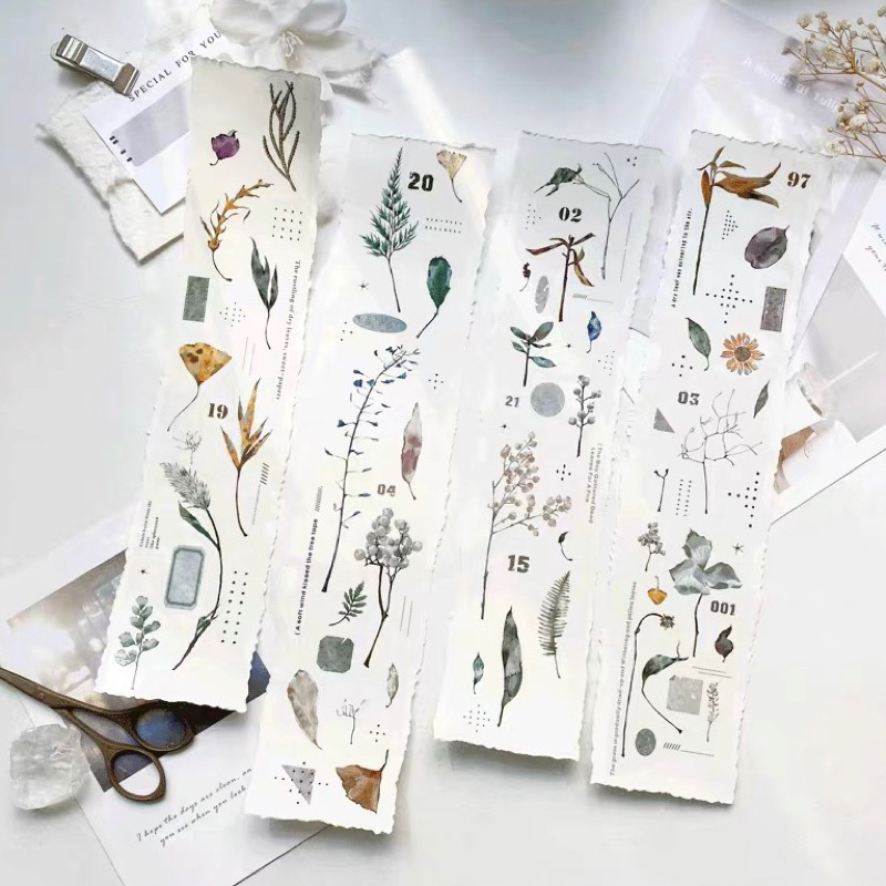 

AyuH Studio Dry Leaf PET Tape