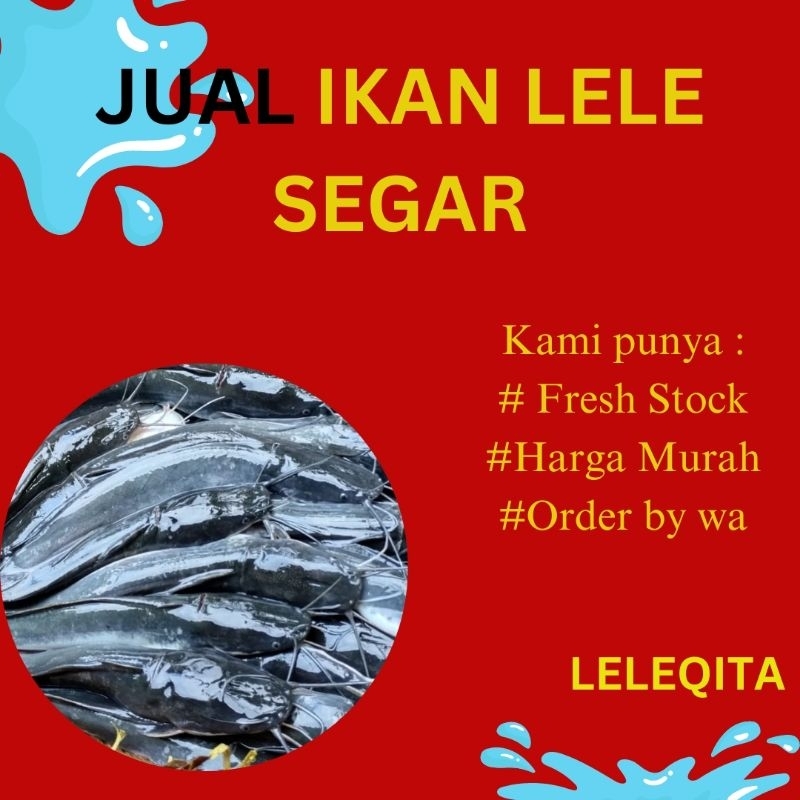 

IKAN LELE KONSUMSI SEGAR/LELE UTUH 1KG