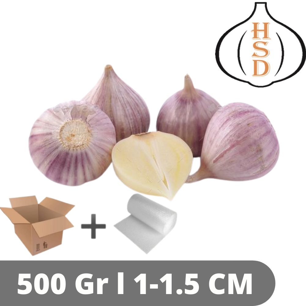 

HSD Bawang Tunggal Mini 1 - 1.5 Cm Solo Garlic 500 Gr