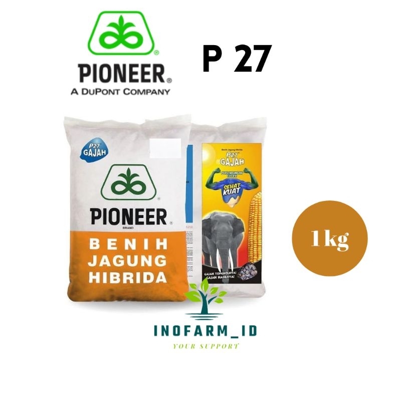 Benih Jagung Hibrida Pioneer P27 Gajah ~1kg