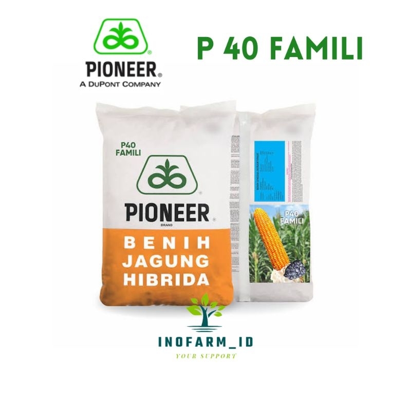 Benih Jagung Hibrida Pioneer P40 Famili ~1kg