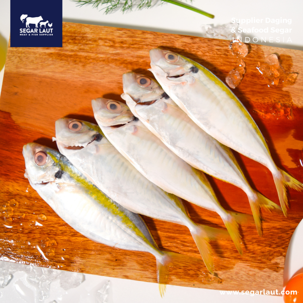 

Ikan Selar Segar (Yellowtail Scad) – FRESH GRADE