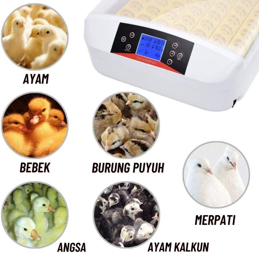 Inkubator incubator mesin tetas penetas telur burung ayam otomatis