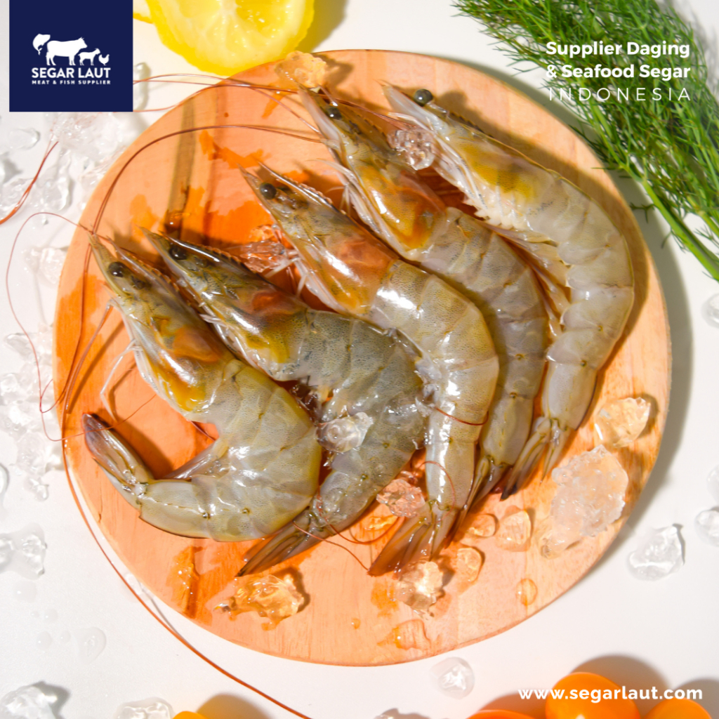 

UDANG VANAME | FRESH FROZEN & SEGAR