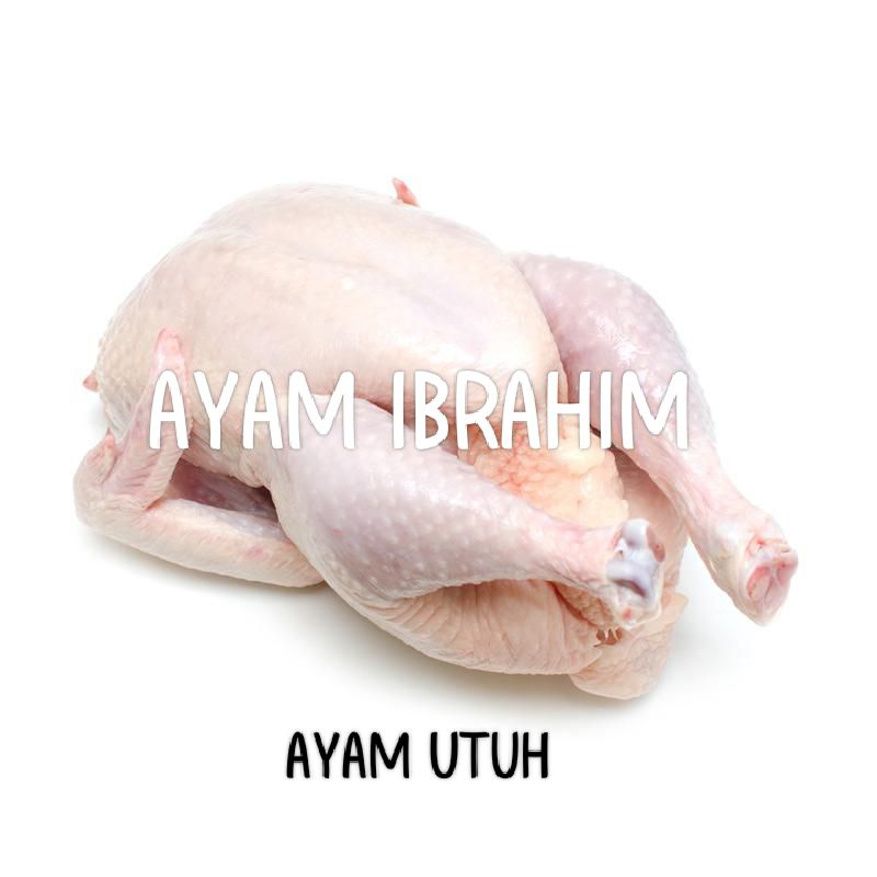

AYAM POTONG IBRAHIM UTUH UKURAN 1KG