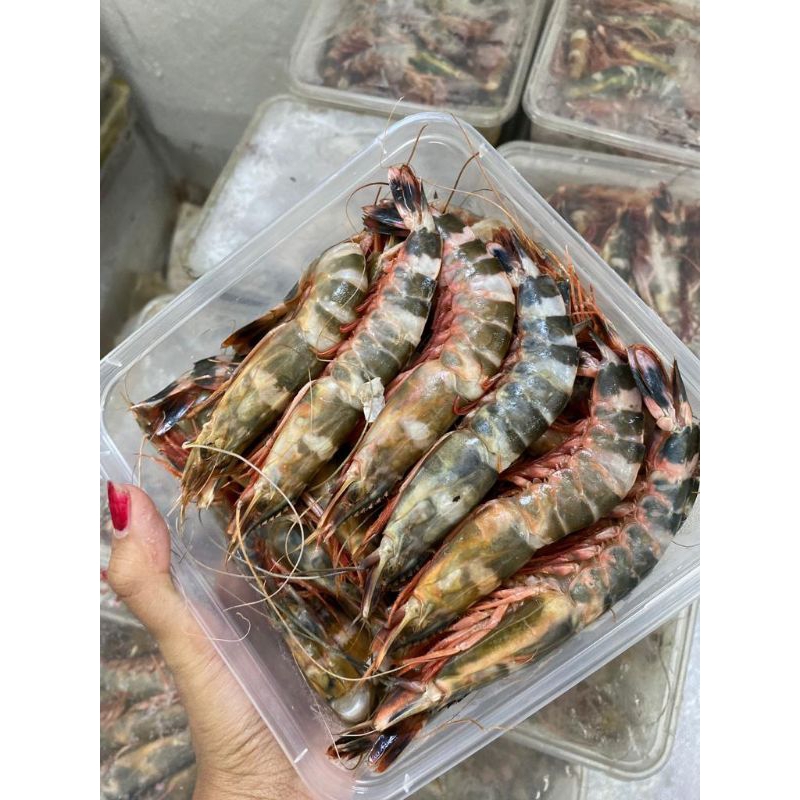 

Udang windu